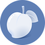 Icoană apk Necta Launcher(for senior)