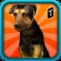 Street Dog Simulator 3D APK