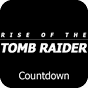 Rise of the Tomb Raider Widget APK