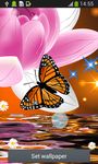 Schmetterling Live-Wallpaper Bild 3