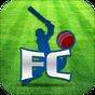 Play Fantasy Cricket apk icon