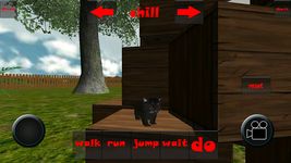 Cat simulator 3D image 19