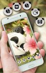 Cute Baby Panda Theme image 13