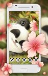 Cute Baby Panda Theme image 14