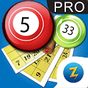 Pocket Bingo Pro apk icon