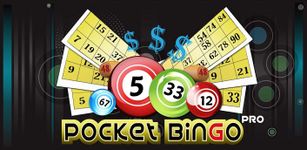 Pocket Bingo Pro image 8