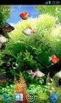 Картинка 2 Aquarium Max Live Wallpaper