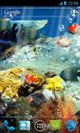 Gambar Aquarium Max Wallpaper Hidup 3