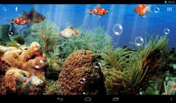 Gambar Aquarium Max Wallpaper Hidup 4