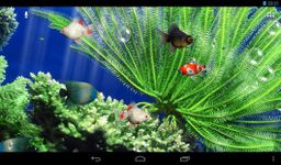 Gambar Aquarium Max Wallpaper Hidup 5