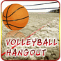 Volleyball 3D Game APK