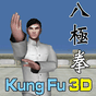 3D Kung Fu - Ba Ji Quan APK