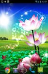 Lotus Live Wallpaper image 