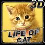 APK-иконка Life of Cat