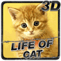 Life of Cat APK