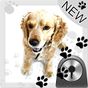 Cute Dog v2 - GO Locker Theme apk icon