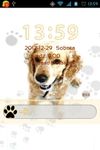 Gambar Cute Dog v2 - GO Locker Theme 2