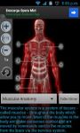 Imagem 1 do Anatomy Muscles