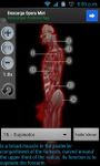 Imagem 3 do Anatomy Muscles
