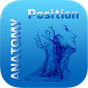 Human Anatomy Position APK