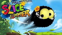 Imagem 1 do Slice Summer