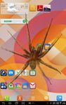 Spinne im Handy Lustiger Witz Bild 