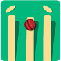 CricExtra - Live Cricket 2015 APK