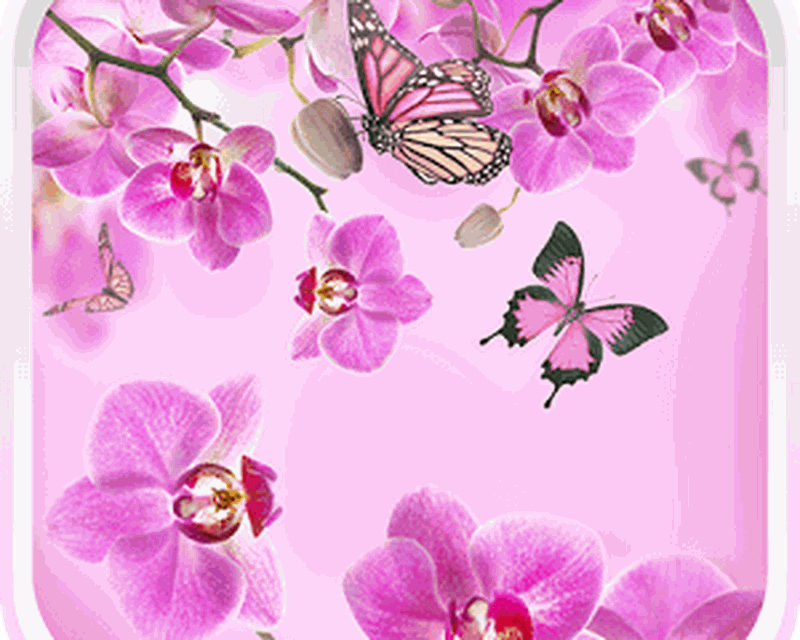 Pink Flowers Live Wallpaper Android Free Download Pink Flowers