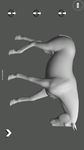 Horse Pose Tool 3D imgesi 3