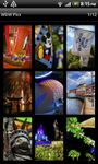 Captura de tela do apk Walt Disney World Wallpapers 4