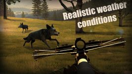 Crossbow Hunter: Wild Animals image 