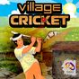 Village Cricket APK