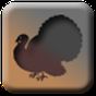 Ikona apk Turkey Calls