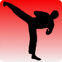 Treinamento de Taekwondo APK
