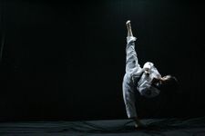 Imagen 14 de Entrenamiento de Taekwondo