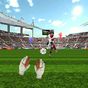 Icoană apk Portarul jocuri de fotbal 3D