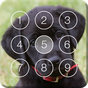 Cute Black Labrador Puppies Screen Lock APK