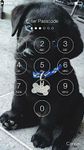 Cute Black Labrador Puppies Screen Lock εικόνα 2