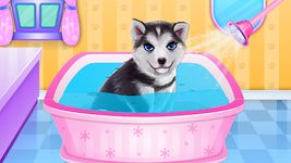 Husky Puppy Spa Salon στιγμιότυπο apk 3