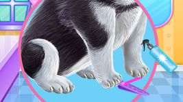 Husky Puppy Spa Salon στιγμιότυπο apk 5