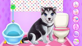 Husky Puppy Spa Salon στιγμιότυπο apk 2