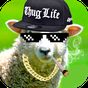 Ikona apk Thug Life - Gangster Edytor Zdjęć