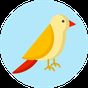 Icône apk Quel genre d'oiseau êtes-vous? Tester