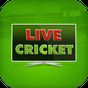Ikon apk Live Cricket