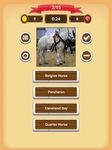 Horse Quiz screenshot apk 4