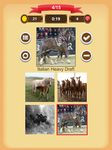 Paarden - Quiz screenshot APK 2