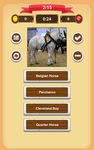 Horse Quiz screenshot apk 10