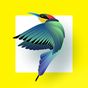 Icono de Bird Identifier