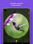Captura de tela do apk Bird Identifier 4
