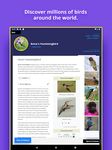 Captura de tela do apk Bird Identifier 3